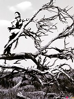 amateur fucking asian